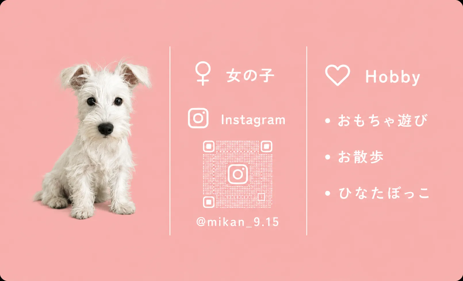0からのオーダー 裏面